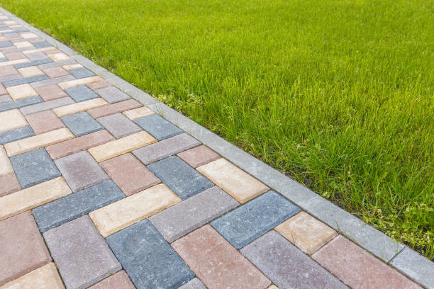 Best Residential Paver Driveway  in Pine Hills, FL